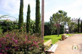 قضاء جبيل في صور حديقة جبيل الجديدة tree plants sidewalk