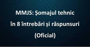 În cuprinsul paginii se prezintă un model iar același conținut se regăsește și în fișierul.doc atașat prezentului material. Mmjs Èomajul Tehnic In 8 IntrebÄri Èi RÄspunsuri Oficial Theexperts Ro