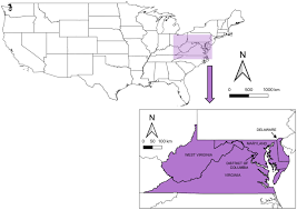 Lake ontario forms the southern and eastern boundary of this surveillance area. Decline Of Six Native Mason Bee Species Following The Arrival Of An Exotic Congener Scientific Reports