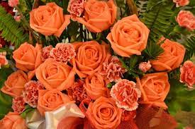 We did not find results for: Happy Valentine S Day Pattaya Mail