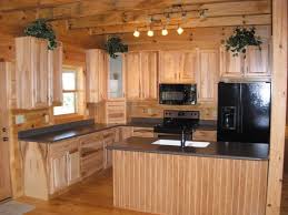 rustic cabin home decor  givdo home