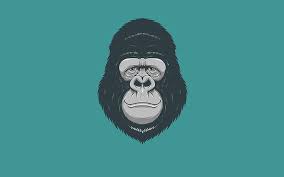 Aesthetic moon wallpapers for free download. Monkey Illustration Minimalism Head Monkey Gorilla Hd Wallpaper Wallpaperbetter