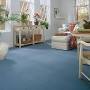 Infinity Carpets from www.floorstogo.com
