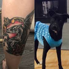 Animal tattoos tribal tattoos for thousands of years man has inked his flesh with totems representing his most primal qualities: 52 Beautiful And Heartwarming Tattoos Dedicated To Pets