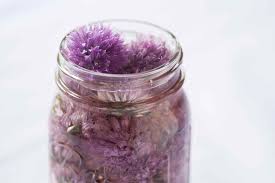 Chive Blossom Vinegar – Leite's Culinaria