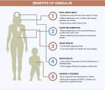 Image result for what are the health benefits of omega 3 6 9