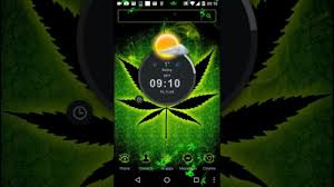 Jamaica Rasta Hd Wallpaper Rasta Theme 1948990 Hd Wallpaper Backgrounds Download Wallpapers iphone 4 • 4s • 5 / skin factory on pinterest. jamaica rasta hd wallpaper rasta