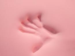 5lb Memory Foam Mattress Topper Foam Factory Inc