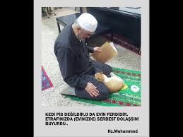 Hz Peygamber Sav Ve Kediler Youtube