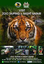 Taiping is home to zoo taiping & night safari. Zoo Taiping Night Safari Home Facebook