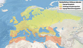 We did not find results for: Zaryanka Vikipediya