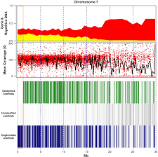 Start your free trial today! A Single Polyploidization Event At The Origin Of The Tetraploid Genome Of Coffea Arabica Is Responsible For The Extremely Low Genetic Variation In Wild And Cultivated Germplasm Scientific Reports