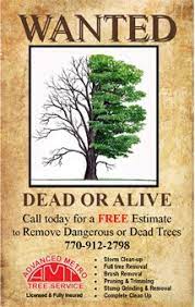 Wanted Poster For Tree Service Company Tree Service Tree Removal Service Tree Company