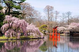 Jun 07, 2021 · for tickets, visit the queens botanical garden's website. Suny Downstate Radiology Living And Working In Brooklyn