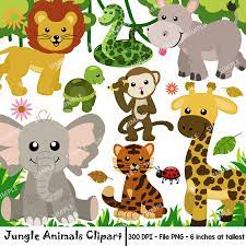 Jungle Animal Clipart Watercolor Safari Animals Clipart Animal Clipart Safari Animals Clipart Set Zoo Animal Ins Animal Clipart Zoo Animals Safari Animals