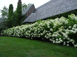 Pin Auf House Garden Casa Y Jardin