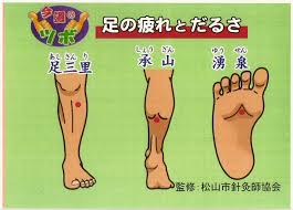 松山市針灸師協会 » 足の疲れとだるさ