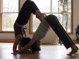 Maybe you would like to learn more about one of these? Kristen Smith Myers Tree Of Life Yoga Center