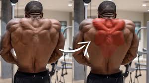 Stiff joints and tight muscles are normal and a db only workout to build your back at home #workoutroutine #fitnesstips #homeworkout. How To Highlight Muscles In Videos Youtube