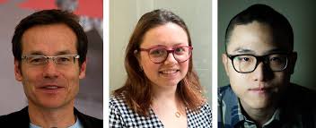 MR-guided magnetic seeds seek, heat and destroy tumours