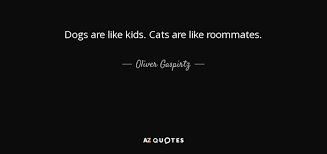 I was making pancakes the other day and a fly flew into the kitchen. Oliver Gaspirtz Quote Dogs Are Like Kids Cats Are Like Roommates