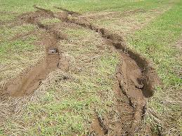 Ea needs to fix this. Is Your Car Stuck In Mud Here S How To Free It