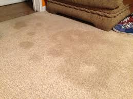Working with dough and food coloring can be fun, but you're also at risk of stains if you don't wear gloves and protective clothing. Year Old Carpet Stains Gone 7 Steps With Pictures Instructables