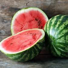 Image result for Citrullus lanatus