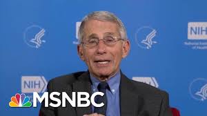 Anthony fauci's estimate of 1.5m. Dr Fauci I Expect More Cases And I Expect An Acceleration Of Testing Morning Joe Msnbc Youtube