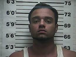 2 arrested after cutting down $1,000-worth of hemp, deputies say