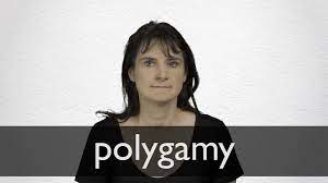 'in all relationships , but especially polyamorous ones, if you have a boundary, it is your responsibility to express that boundary.' 'the series aims to challenge the world's views on traditional marriage in favour of polyamorous or open relationships.' 'i'm a polyamorous, bisexual woman who enjoys. German Translation Of Polygamy Collins English German Dictionary