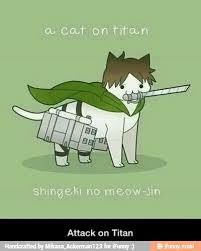 A Cat On Titan Attack On Titan Shingeki No Kyojin Attack On Titan Anime Attack On Titan Funny Attack On Titan