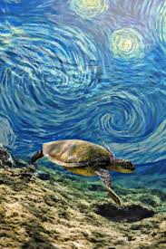 Sea Turtle Starry Night Turtle Painting Starry Night Vincent Van Gogh Paintings