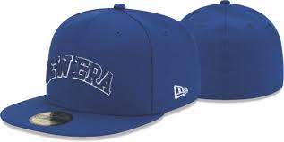 Custom Team Caps New Era Caps