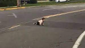 Baby Unharmed After She S Found Crawling Across Busy Road Ctv News
