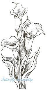 1040x1469 new lily flower coloring pages gallery printable coloring sheet. Calla Lily Rubber Stamp Calla Lily Trio Flowers Wood Mounted Rubber Stamp Northwoods Rubber Lilies Drawing Flower Drawing Flower Sketches