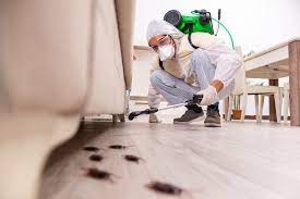 Cole pest control is a family owned pest control company in the kansas city metro area. Kansas City Exterminator Milberger Pest Control Will De Bug Your Home Or Business Milberger Pest Control