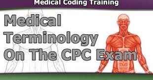 Pin By Nita Clements On Cpc Certification Study Guide Medical Coding Training Medical Coding Medical Coding Jobs