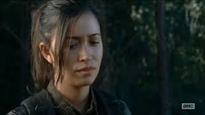 The Walking Dead by Desirée