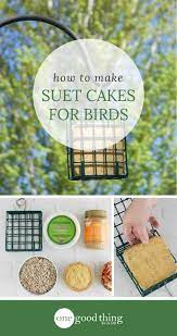 How To Make Homemade Suet Cakes To Attract Birds How To Attract Birds Suet Cakes Homemade Bird Houses