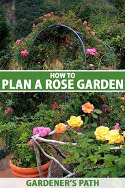 One starts an english rose garden by having an english climate. How To Plan A Rose Garden Gardener S Path