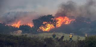 An out of control fire has broken out in cape town's table mountain national park on sunday, according to south african officials, prompting the evacuation of hikers from the city's most famous landmark. Dv7rul7htuwpjm