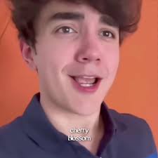 Two Types of Brothers Cherry Blossom Iced Tea