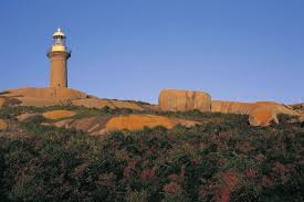 Lighthouse Montague Island Narooma New South Wales Australia Travel South Coast Nsw Batemans Bay