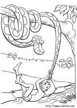 index of images coloriage le livre de la jungle miniature printemps imprimable