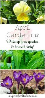 April Gardening In Zone 6 Angie The Freckled Rose April Gardening Spring Gardening Guide Fall Vegetables