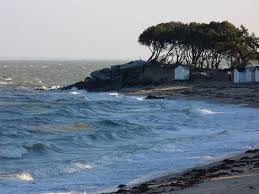 Noirmoutier En L Ile Paysage France Noirmoutier Iles Chausey