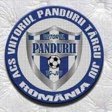 The compact squad overview with all players and data in the season overall statistics of current season. Viitorul Pandurii Tg Jiu Home Facebook