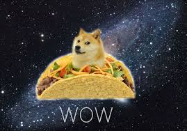 images?q=tbn:ANd9GcSioIHizFJAZi0yoP4sF6P8SAdzwqd8kbovfgEVFQQFQ_bu0zTB