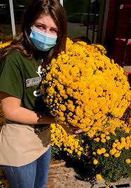The average cost for wedding flowers is $610. Lowes Foods Maddy Wants You To Know That Our Mums Are In Full Bloom And They Are Simply Gorgeous You Re Sure To Fall In Love With These On Your Front Porch
